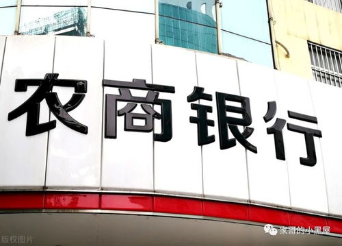 螞蟻金服與陸金所上市 科技中介服務的雙重估值邏輯