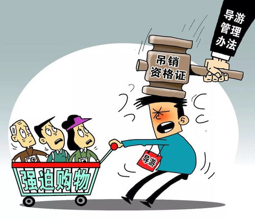 2018年1月1日起，黃石人生活質量提升新規(guī)與上海網(wǎng)絡技術轉讓的聯(lián)動影響